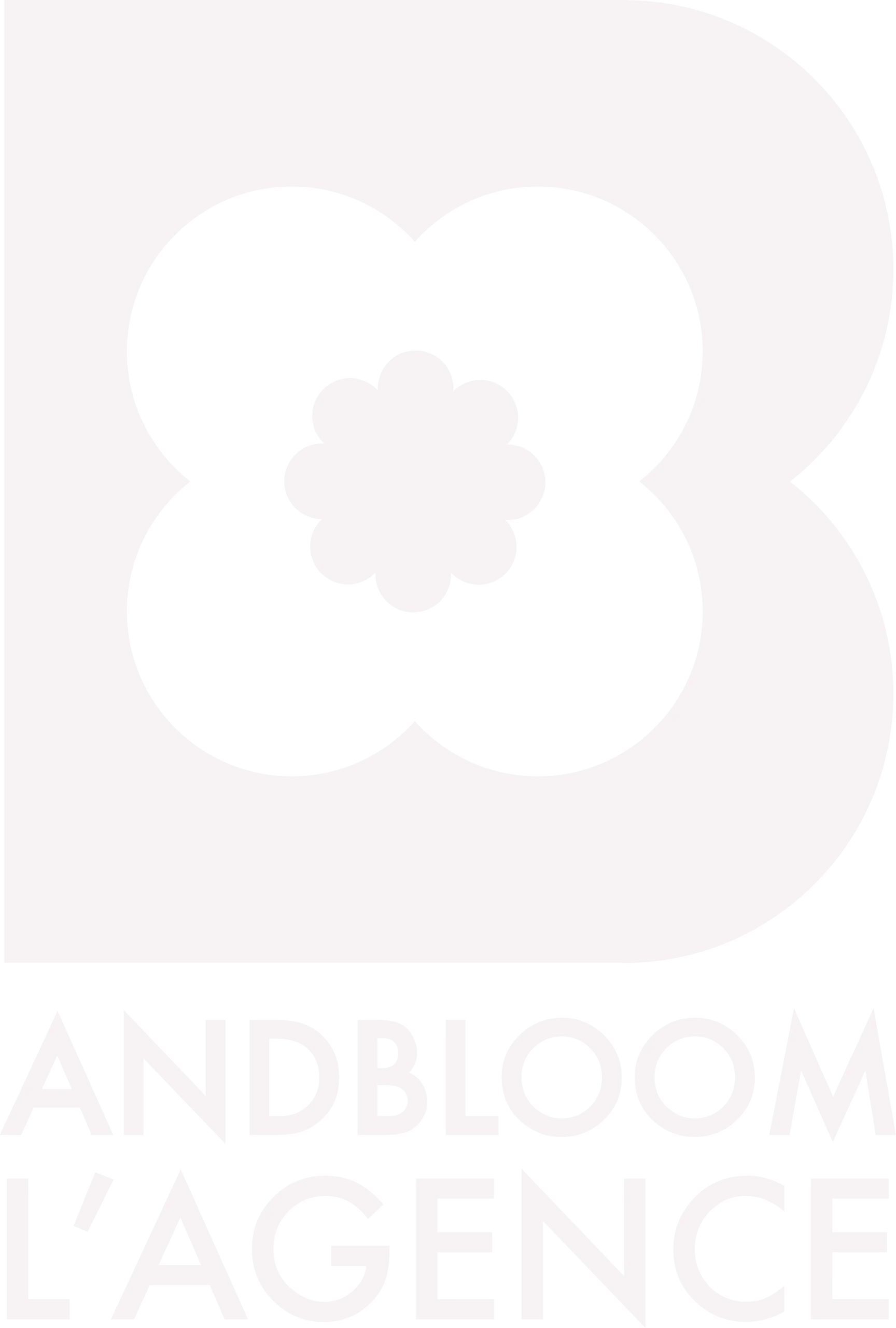 And Bloom, agence de marketing et communication digitale à Marrakech