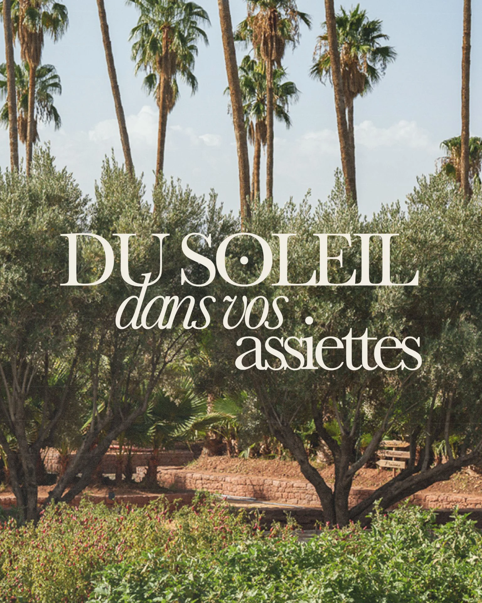 And Bloom, agence de marketing et communication digitale à Marrakech