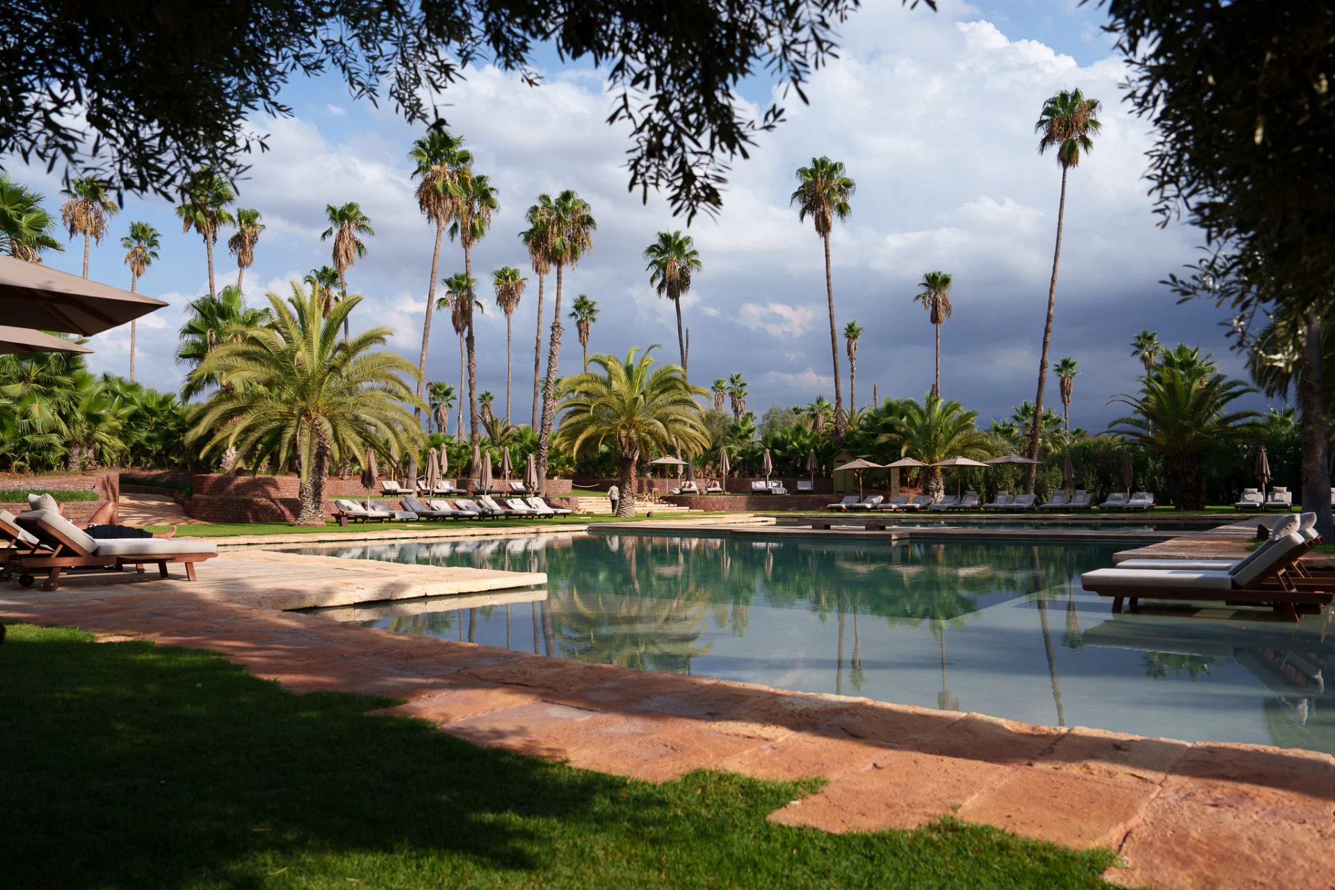 And Bloom, agence de marketing et communication digitale à Marrakech